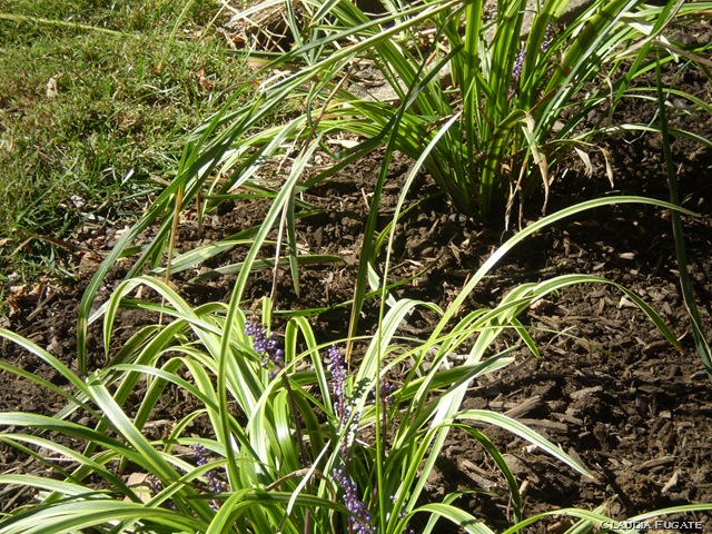 [PA0701035.jpg]