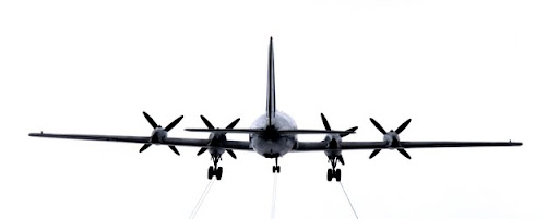 DSC_1036.NEF.jpg