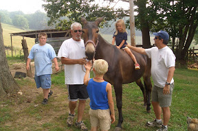 Wow, can you ride a mule?