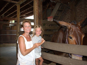 Tia introducing Sara to another mule!