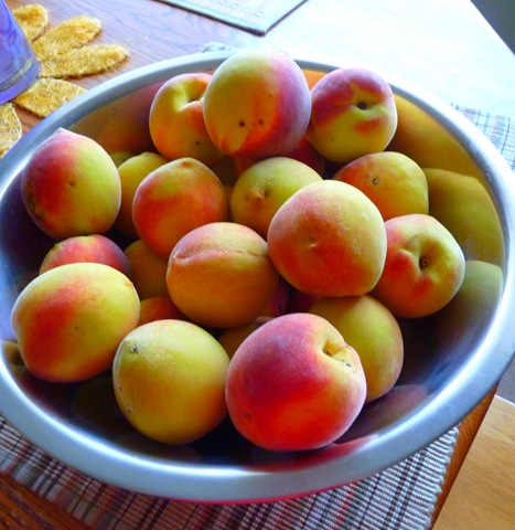 [P1030761[11].jpg]