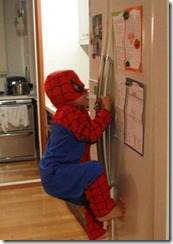 spiderman spiderman