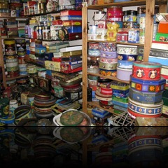 tins1 tins1