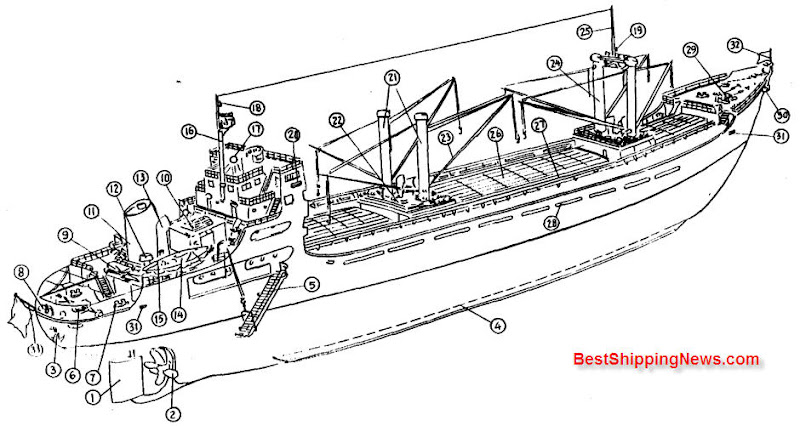 1 . Rudder 2. Propeller 3. Stream anchor 4. Bilge keel 5. Accommodation ladder 6. Mooringwinch 7, Borllard 8. Fair-leader 9. Vegetable chamber 10 . Sky light 11 . Funnel 12 . Mushroom ventilator 13 . Cowl head ventilator 14 . Lifeboat ' 15 . Lifting gear 16 . Radar mast 11 . Direction finder antenna 18 . Range light 19 . Mast head light 20 . Side light 21 . King'post 22 . Winch 23 . Derrick boom 24 . Derrick post 25 . Foremast 26 . Hatch 27 . On deck girder 28 . Freering port 29 . Windlass 30 . Bower anchor 31 . Mooring pipe 32 . Jack staff 33 . Ensign staff