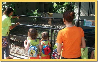 SAÍDA PEDAGÓGICA- ZOO6 SAÍDA PEDAGÓGICA- ZOO6