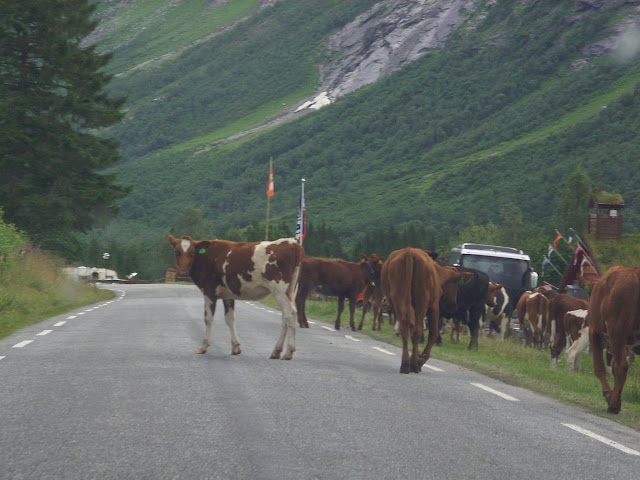 Norsko 111 Oslo-Aalesund.jpg