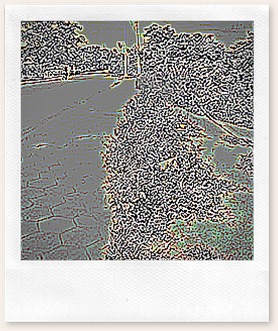 016 016