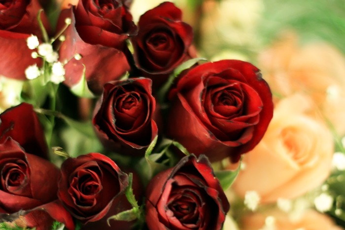 flowers2