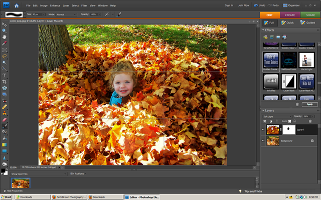 [COLOR LEAVES 2[2].png]