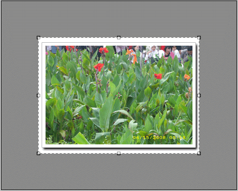 cropping