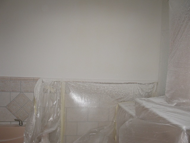 [0293.jpg]
