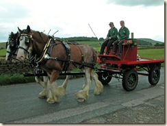 CartHorses