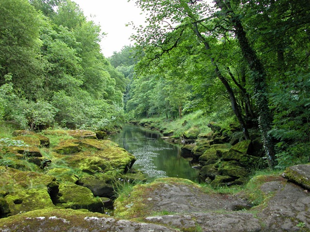 [RiverView022.jpg]