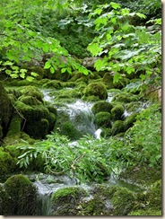 SpringStream