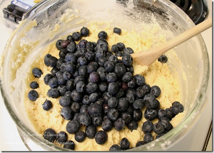 blueberries in bowl