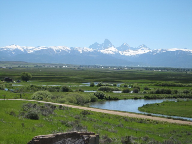 [Robinsnest0044.jpg]