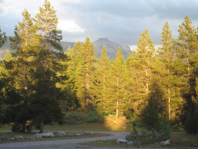[lateAugust0053.jpg]