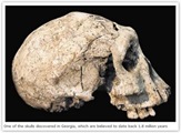 [hominids[5].jpg]