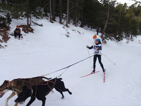 skijorer