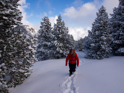 Avançant sobre la neu fonda