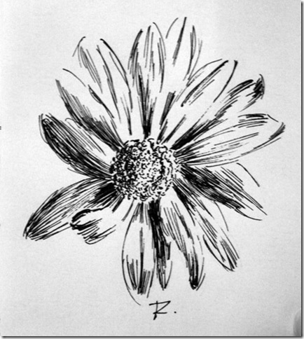 pen and ink flower drawing