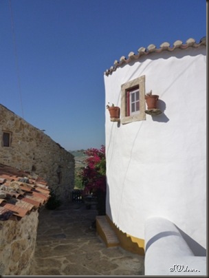 P1020808 P1020808