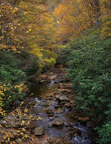 [DSC_685523.jpg]