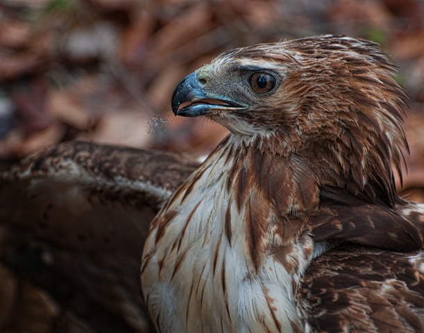 [DSC_0095[3].jpg]