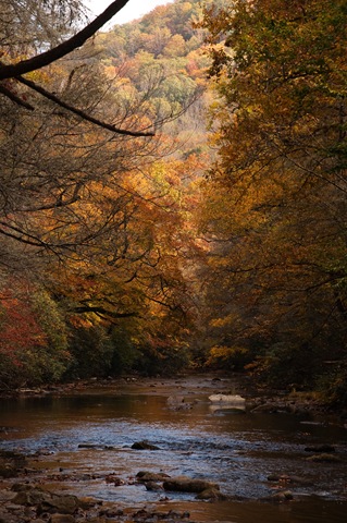 [DSC_7008[3].jpg]