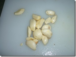 P1010029