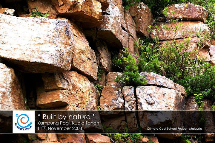 Built by nature