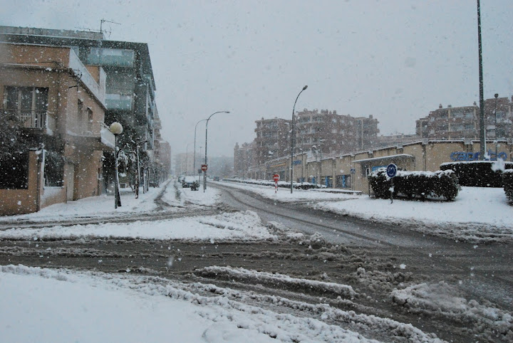 DSC_0179.JPG