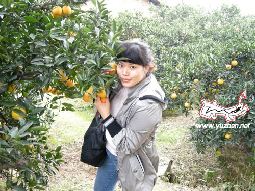 http://lh3.ggpht.com/_q2coGUymXUc/SRxJbQotdkI/AAAAAAAACd8/cb-qIamQCBo/s800/DSCN3138%202.jpg