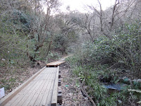 DSC00029.JPG Photo