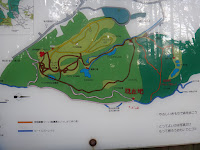 DSC00028.JPG Photo