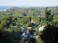 DSC00157.JPG Photo