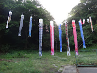 DSC00242.JPG Photo