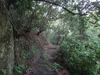 DSC00243.JPG Photo