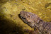 DSC01286.JPG