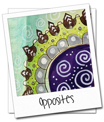 Opposites-Polaroid
