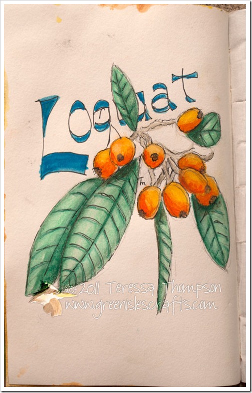 Loquat