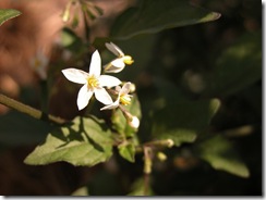 DSCN0777