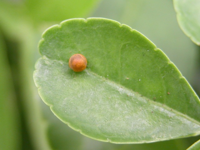 [DSCN00147.jpg]