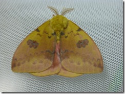 DSCN0253