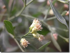 DSCN0196
