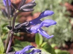 DSCN0045 DSCN0045