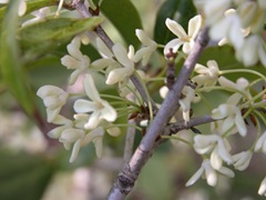 DSCN0146