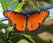 P1020013