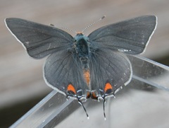 DSCN0022