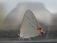 DSCN0018